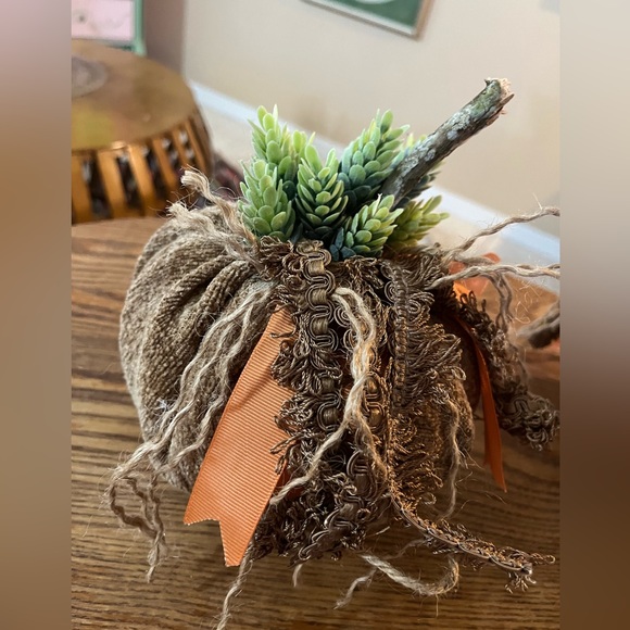 Set of 2 Handmade Succulent Chenille Fall Pumpkins - Fabric Fall Pumpkins - Boho - Picture 5 of 14